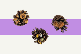 Zabawka dla papug DIY: apetyczne szyszki