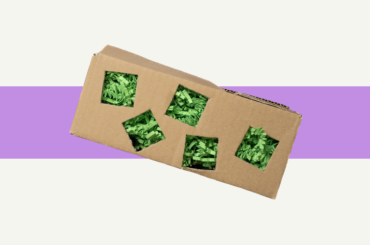 Zabawka dla papug DIY: pudełko do żerowania