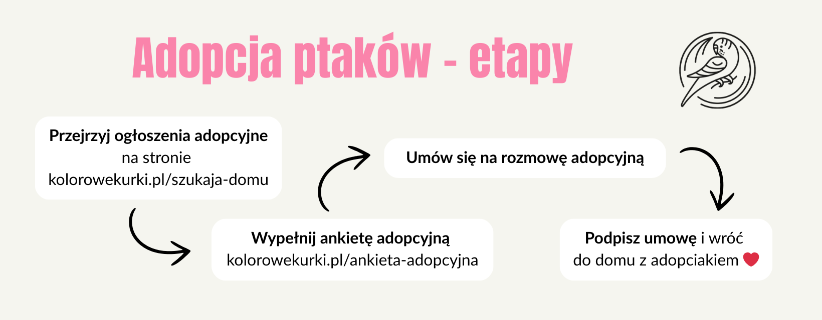Adopcja ptaków - etapy