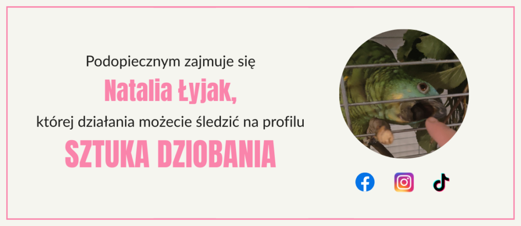 Sztuka Dziobania