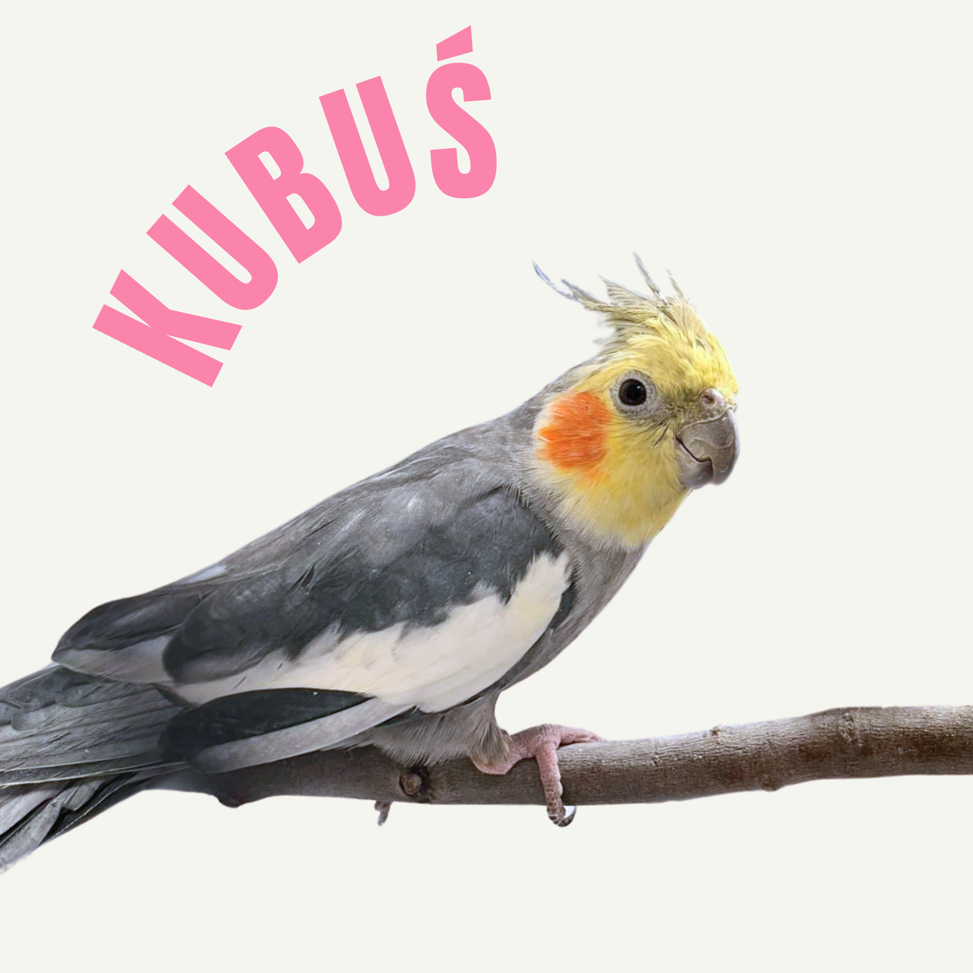 Nimfa - Kubuś