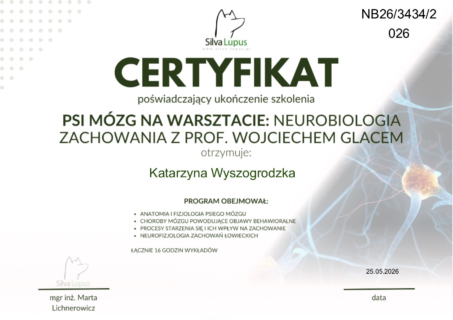 Mózg psa na warsztacie