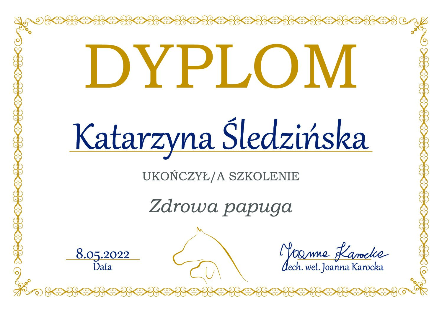 Zdrowa papuga
