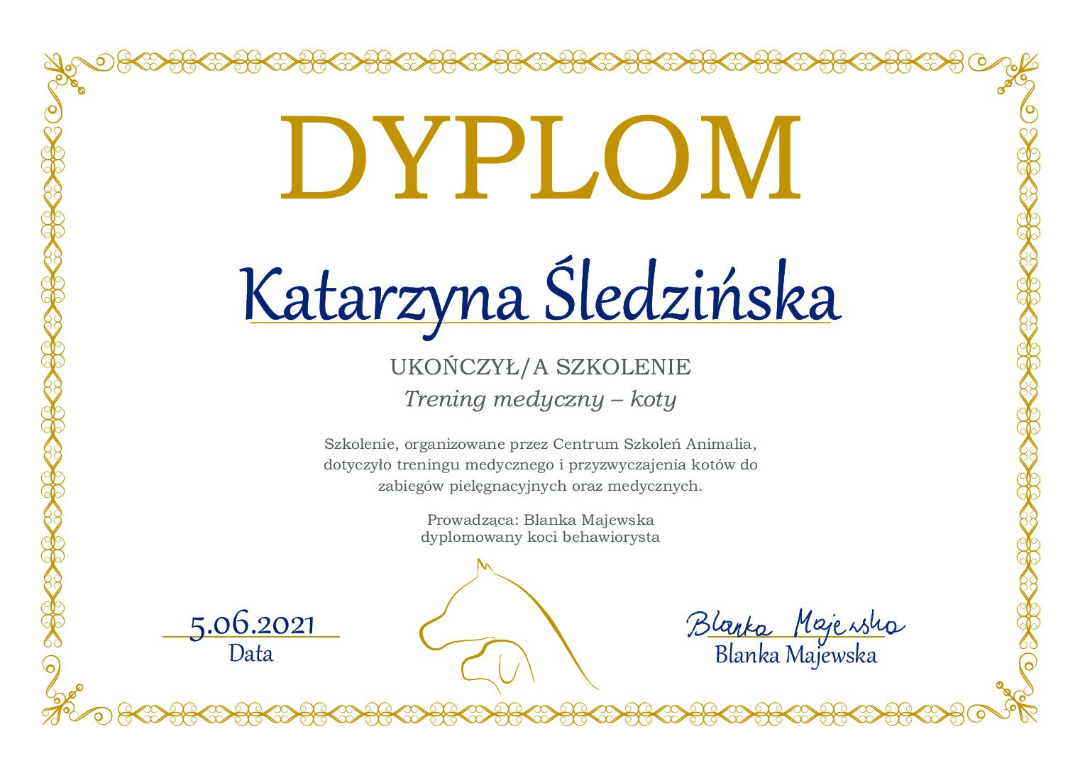trening medyczny - koty